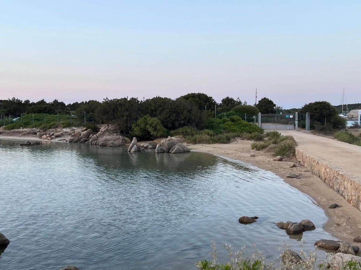 Апартаменты Casa Sibilla Bi-Locale Con Terrazza A 60 Metri Dal Mare Маринелла Экстерьер фото